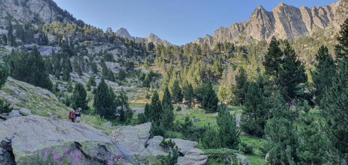 20220717_090453.jpg 20220717_090453.jpg