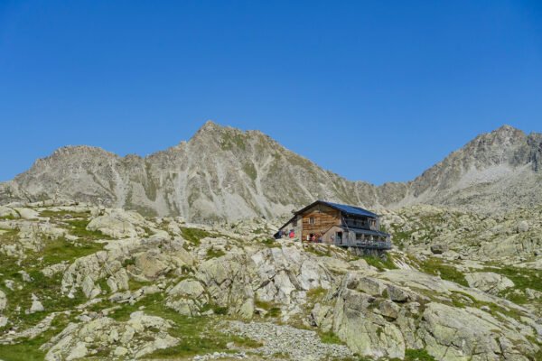 DSC08135.jpg DSC08135.jpg