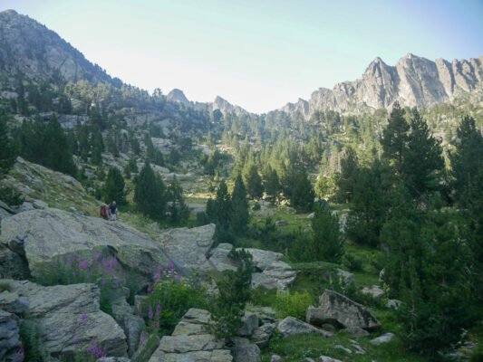 P1080104.jpg P1080104.jpg